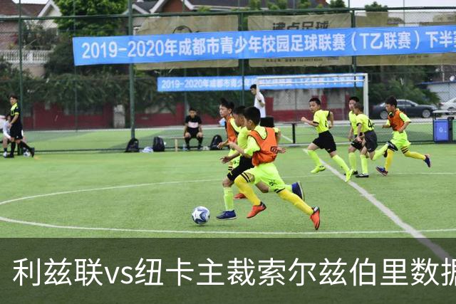 利兹联vs纽卡主裁索尔兹伯里数据：近20场执法83黄、2红、9点