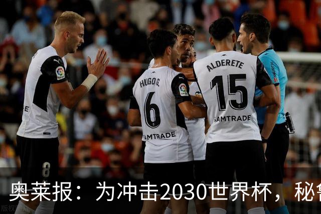 奥莱报：为冲击2030世界杯，秘鲁把世预赛主场分散到高原地区