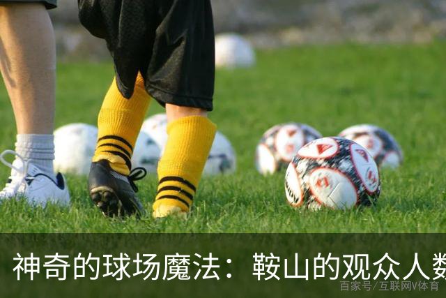 神奇的球场魔法：鞍山的观众人数创下新高